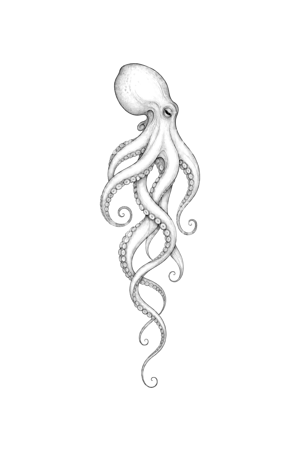Octopus with Spiral Tentacles Fine Line Tattoo Idea