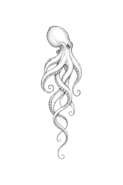 Octopus with Spiral Tentacles Fine Line Tattoo Idea
