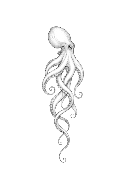 Octopus with Spiral Tentacles Fine Line Tattoo Idea