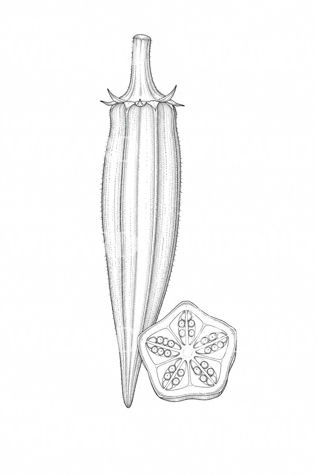Desain Tato Polong Okra dan Potongan Berbentuk Bintang