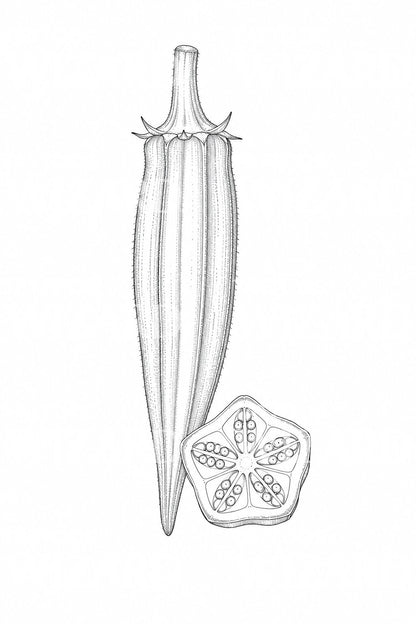 Desain Tato Polong Okra dan Potongan Berbentuk Bintang