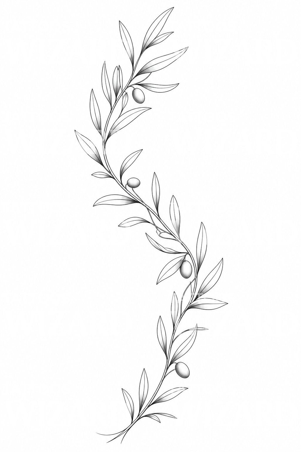 Olive Branch Tattoo Design