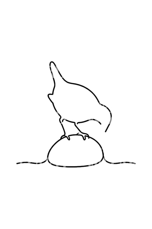 Tato Burung Dipper Satu Garis