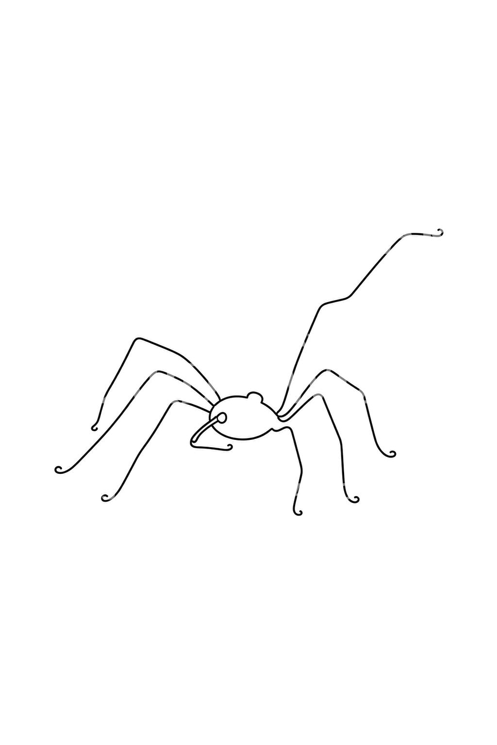Desain Tato Harvestman Satu Garis