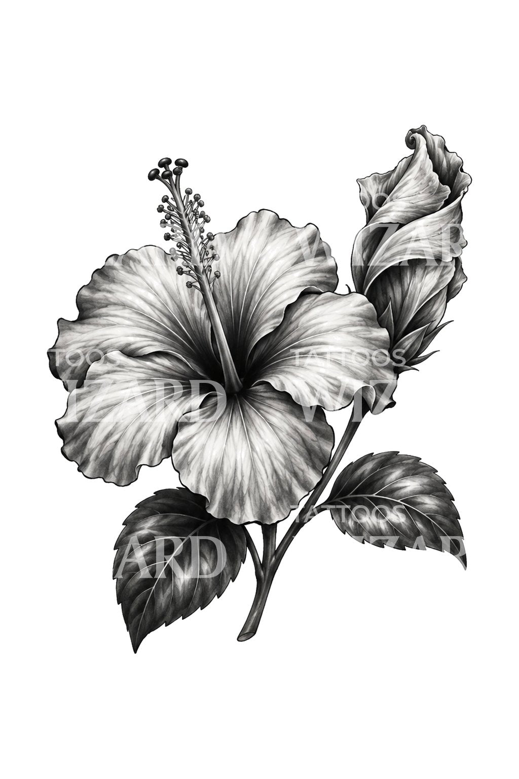 Open and Closing Hibiscus Pair Tattoo Illustration