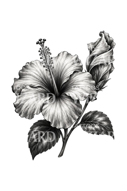 Open and Closing Hibiscus Pair Tattoo Illustration