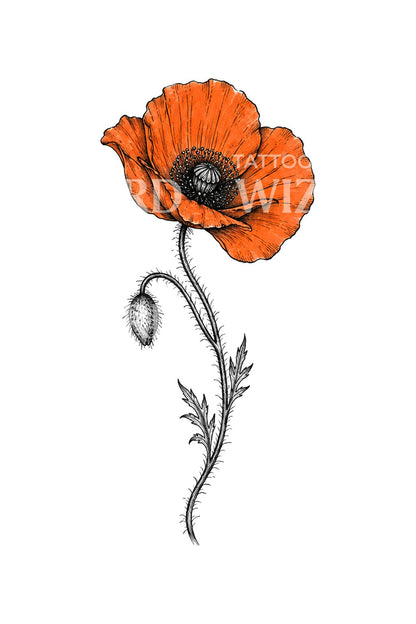 Orange Wash Ink Poppy Sketch Tattoo Idea