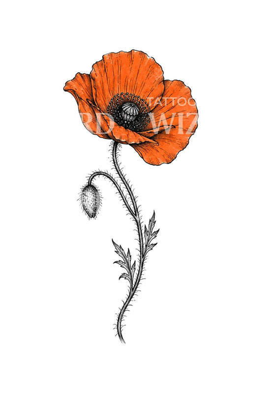 Idea de tatuaje de amapola naranja en boceto de tinta aguada
