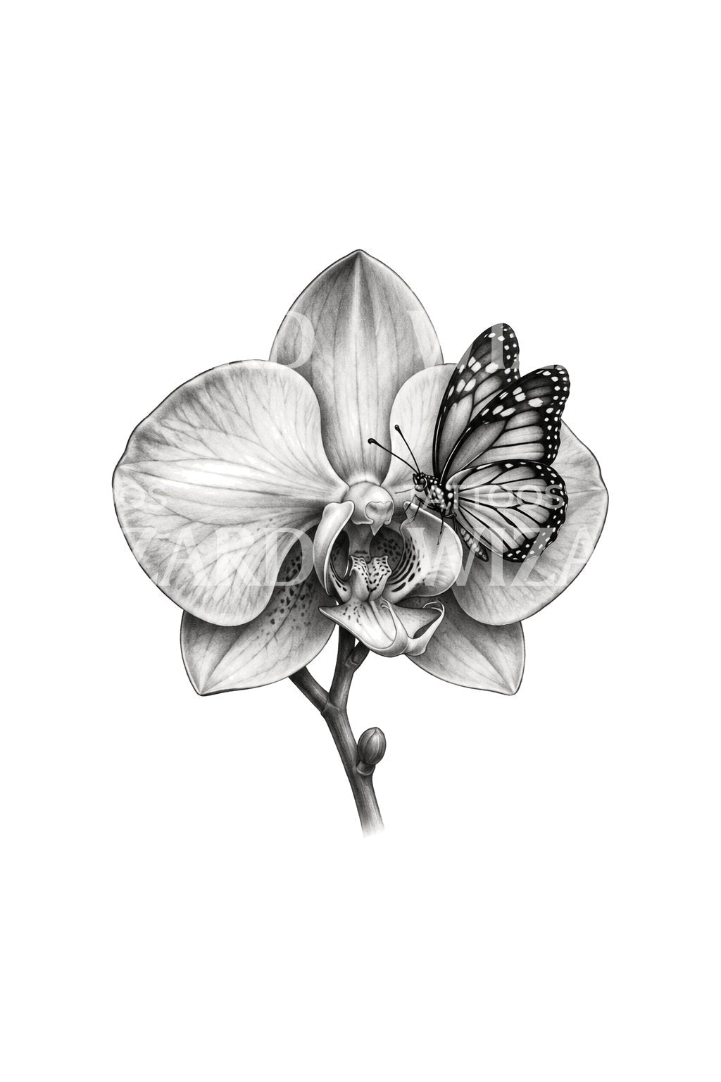 Zwart-grijs tattoo-ontwerp van een orchidee met rustende vlinder