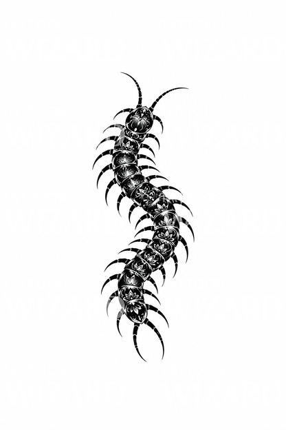 Desain Tato Kelabang Blackwork Ornamental Berbentuk S