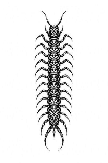 Ornamentální blackwork tetování stonožky