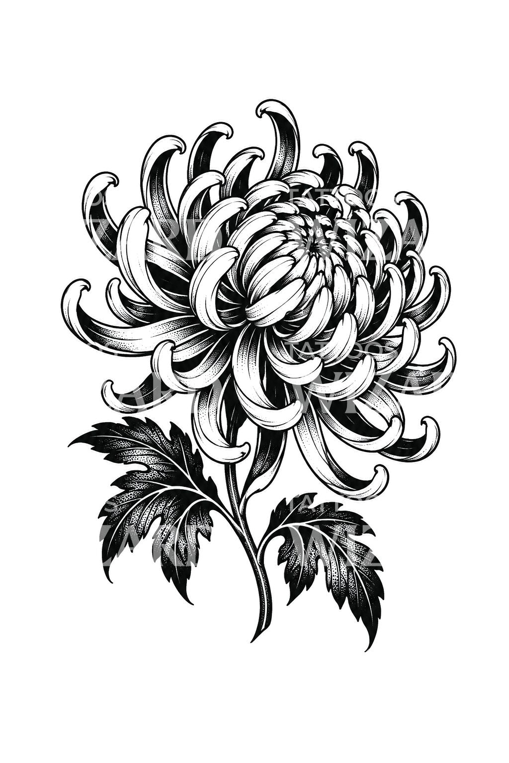 Ornamental Krizantem Blackwork Dövme Tasarımı