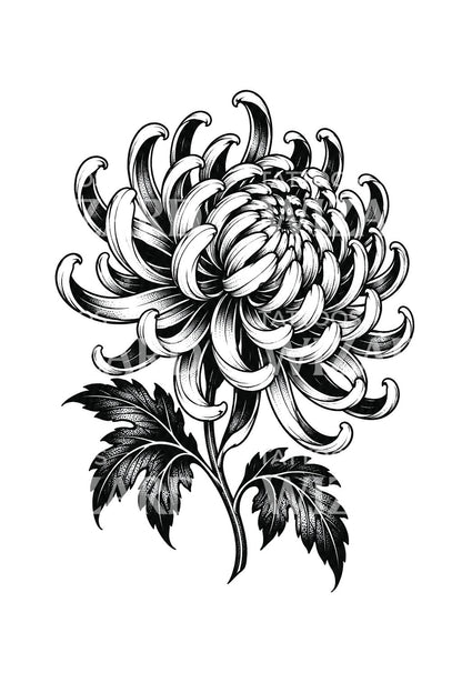 Ornamental Krizantem Blackwork Dövme Tasarımı