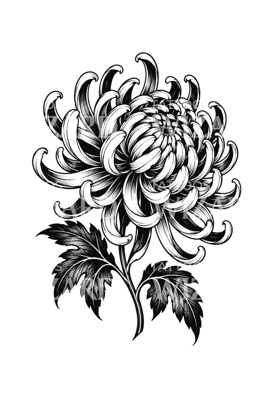 Ornamental Krizantem Blackwork Dövme Tasarımı