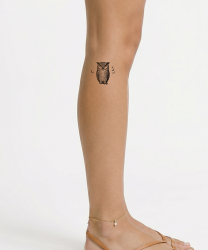 Desenho de tatuagem de coruja sábia com livros
