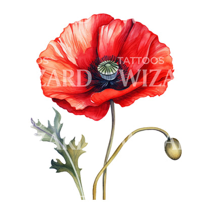 Botanical Poppy Flower Tattoo Design