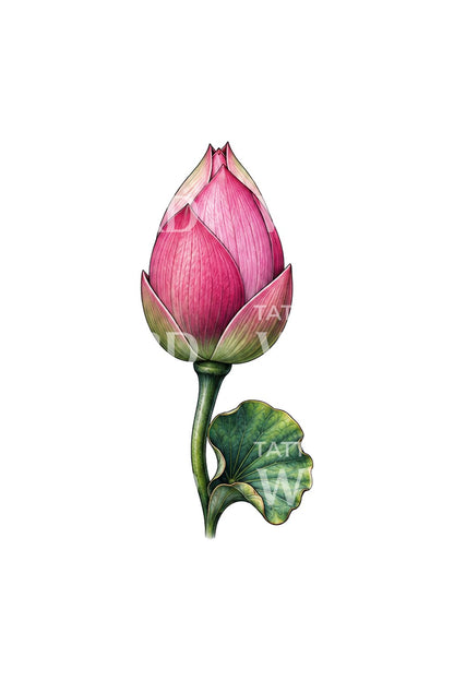 Sabırlı pembe lotus tomurcuğu dövme fikri