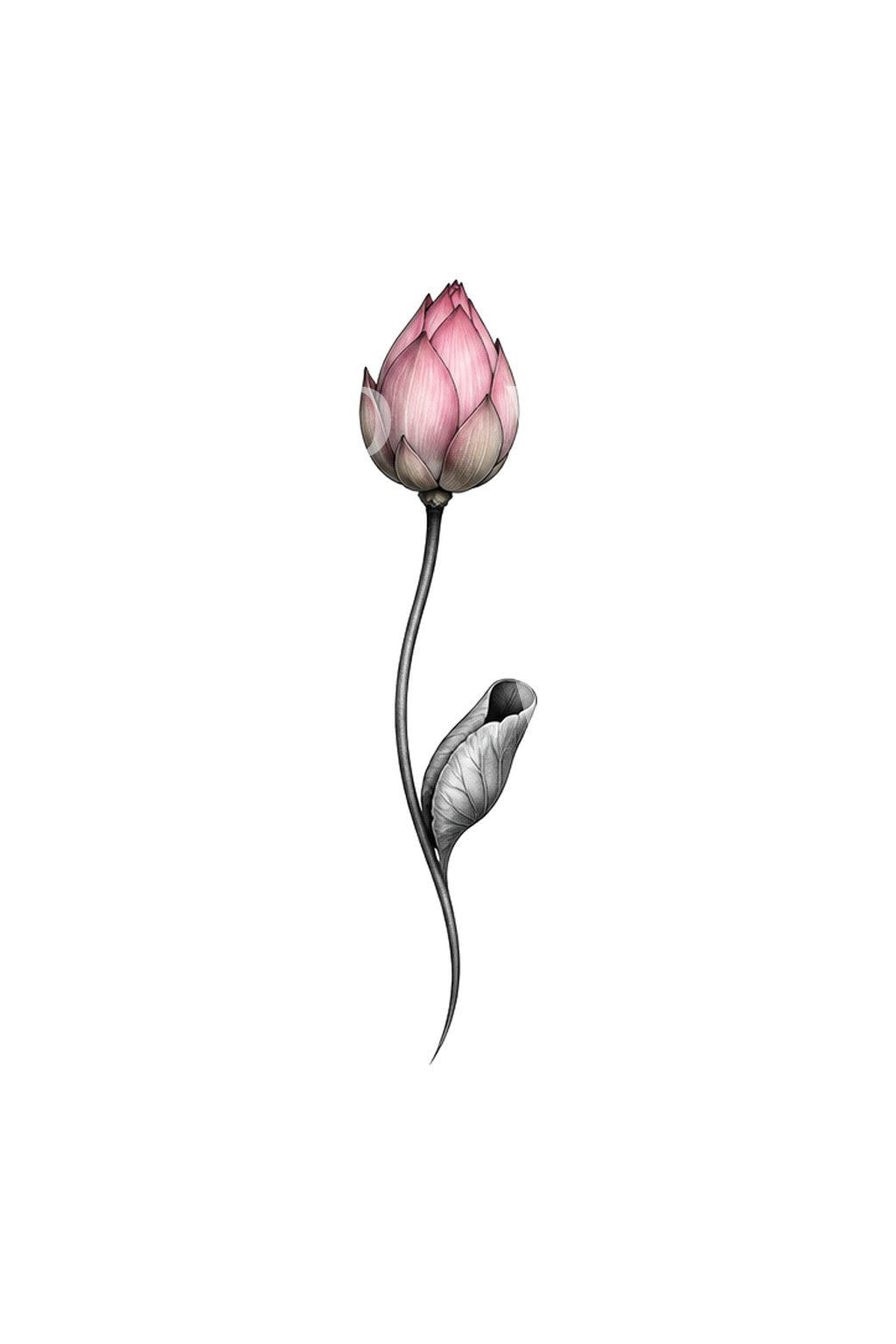 Tålmodig lotus med rosenknopp som mikrotatuering
