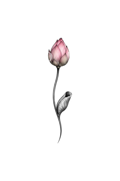 Tålmodig lotus med rosenknopp som mikrotatuering