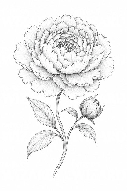Pioenbloem fine line tattoo ontwerp