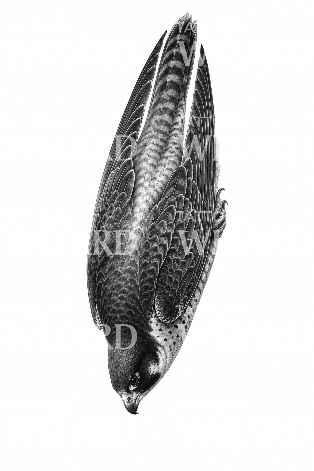 Peregrine Falcon Diving Tattoo Design