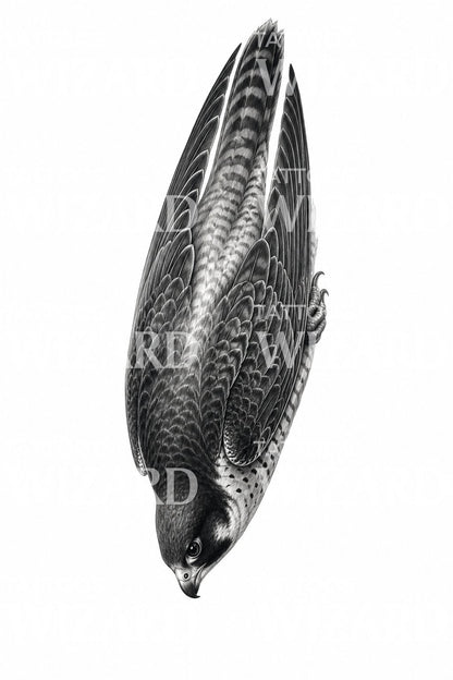 Peregrine Falcon Diving Tattoo Design