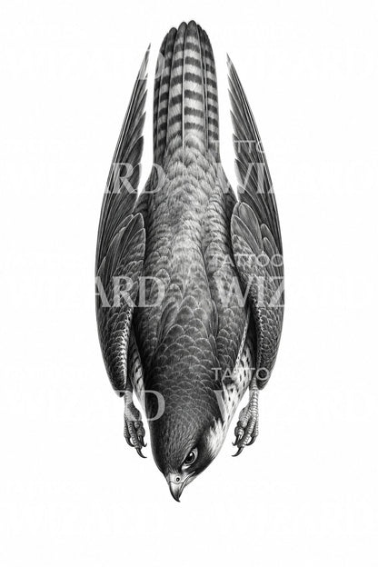 Peregrine Falcon Stoop Black and Grey Tattoo Design