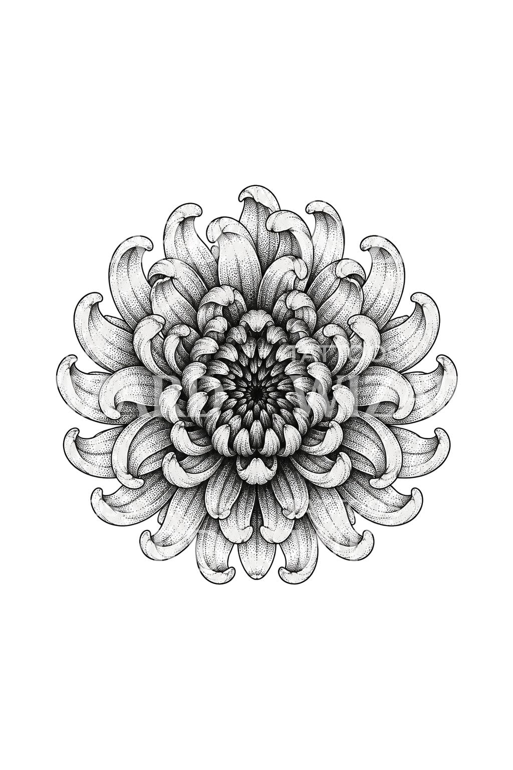 Perfekt cirkel med krysantemummandala som tatueringsdesign
