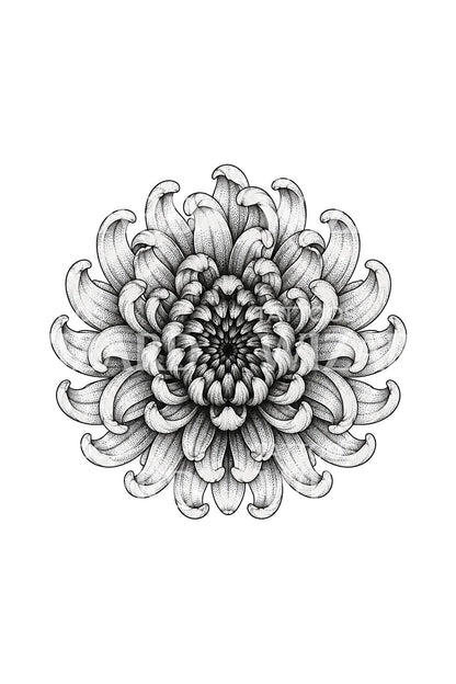 Perfekt cirkel med krysantemummandala som tatueringsdesign