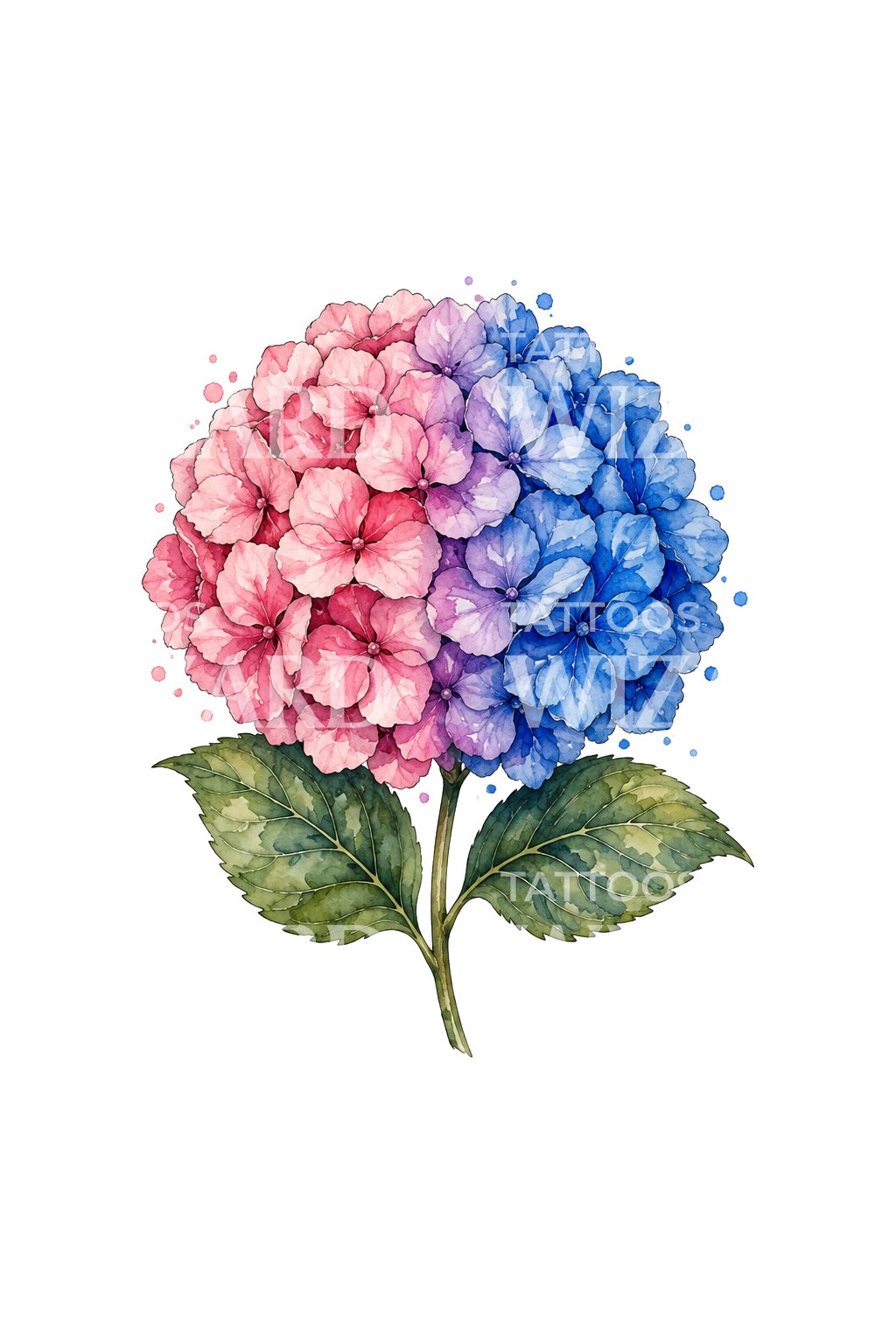 Vaaleanpunaisen ja sinisen hortensian tatuointidesign
