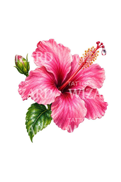 Rosa hibiskus med daggig pistill, tatueringsdesign