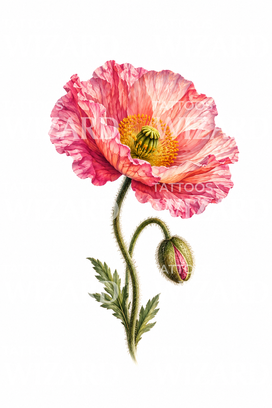 Pink Icelandic Poppy Realism Tattoo Design