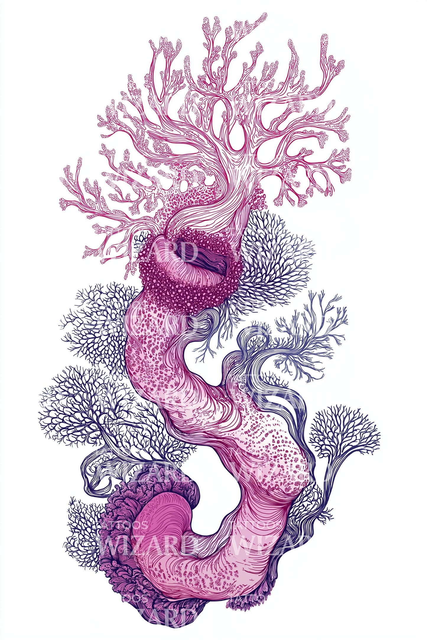 Pink Kelp Spiral Tattoo Illustration