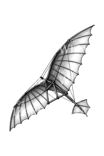 Pioneer Bat Wing Glider Tattoo Illustration
