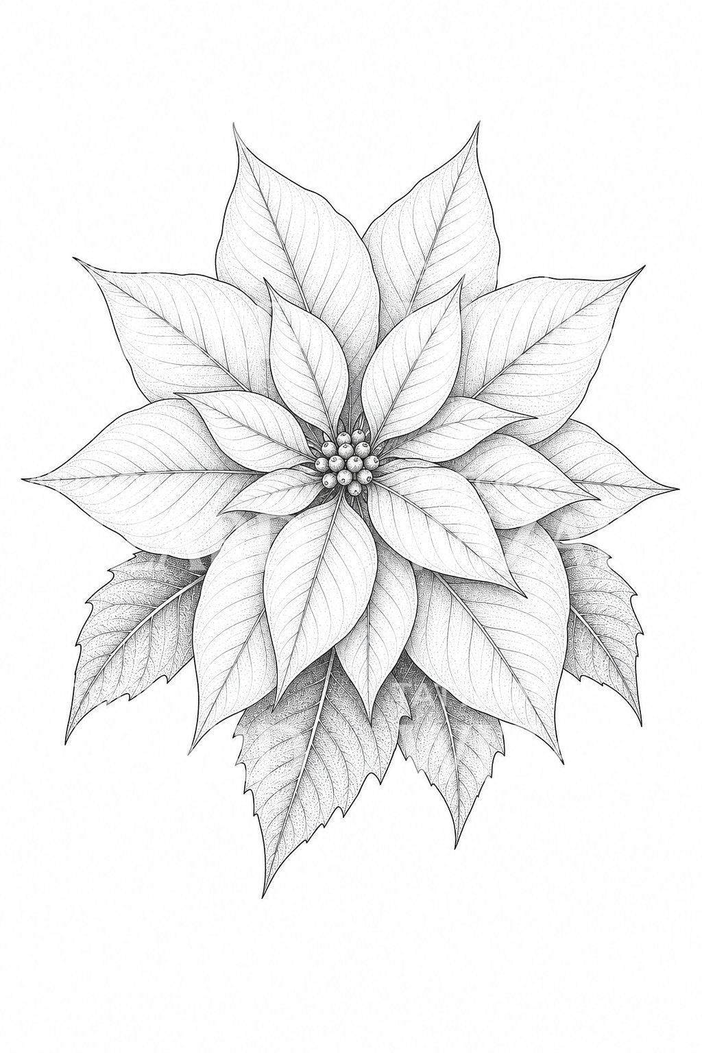 Projekt tatuażu fine line gwiazda poinsecji