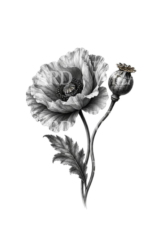Tatoveringsdesign med valmue og frøkapsel