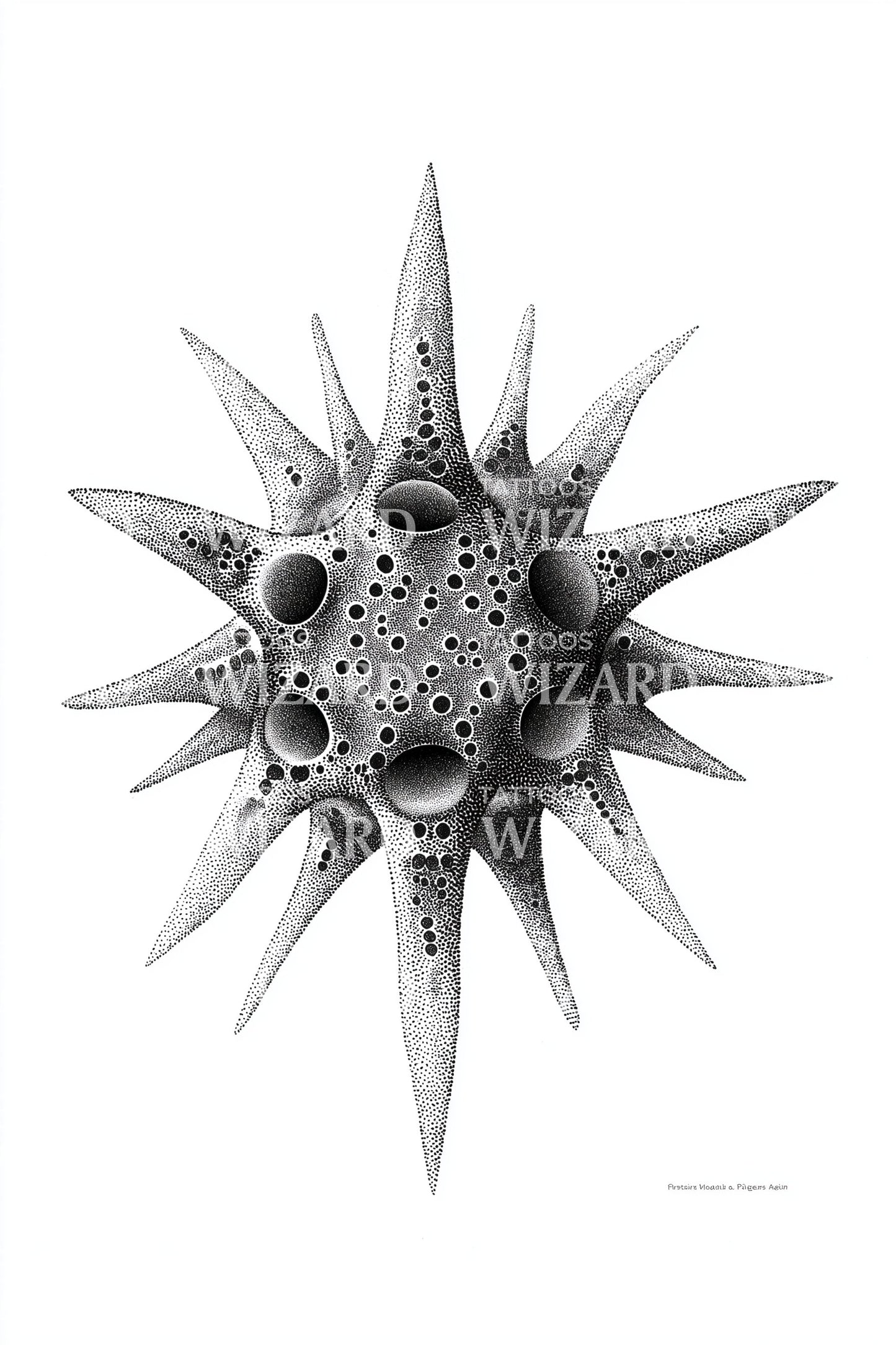 Porous Radiolarian Orb Tattoo Design