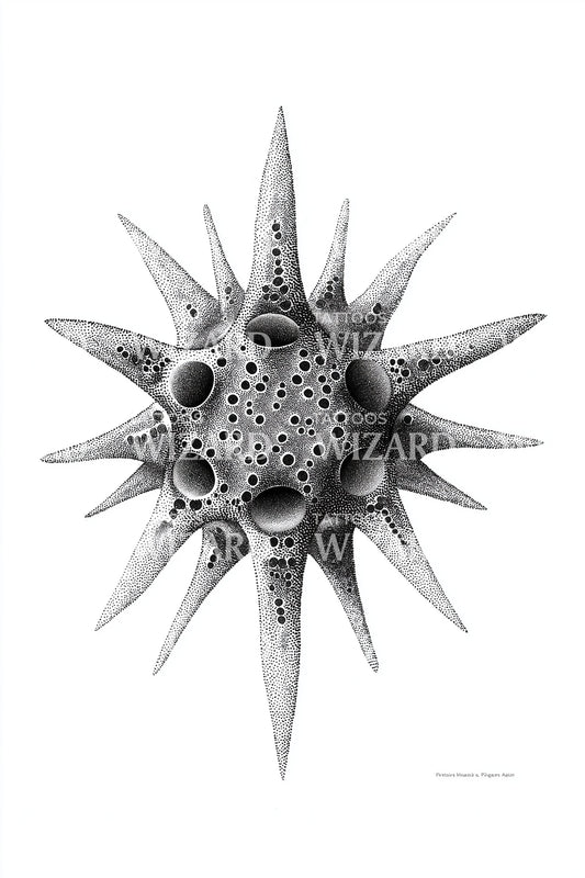 Porous Radiolarian Orb Tattoo Design