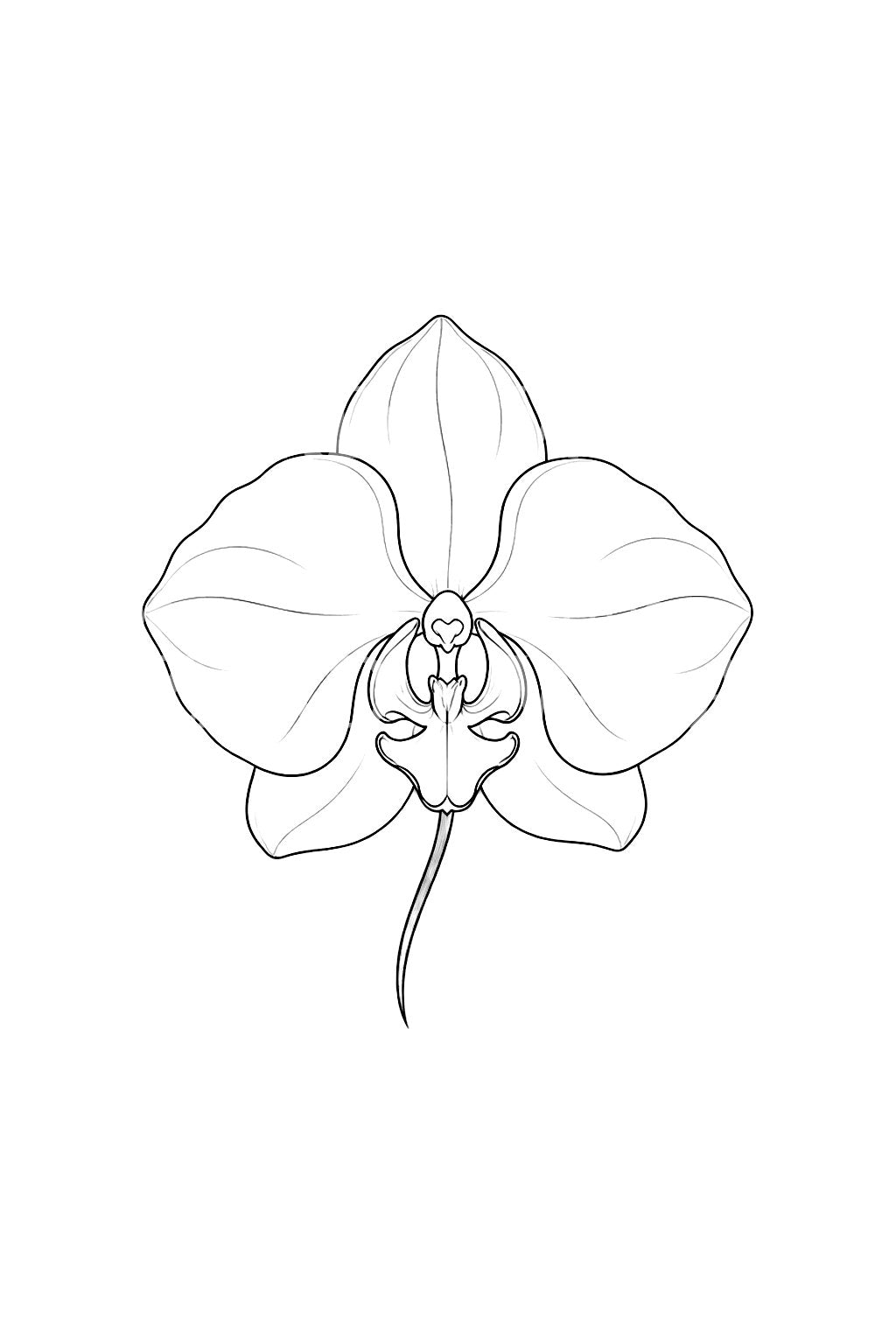 Minimalistisk tatoveringsidé med ren orkidé i kontur