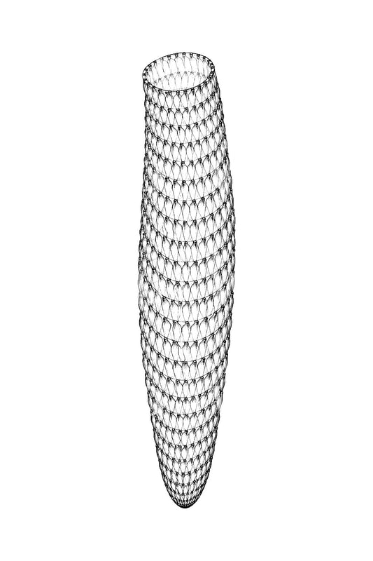 Design de tatouage d’une colonie de pyrosomes tubulaire
