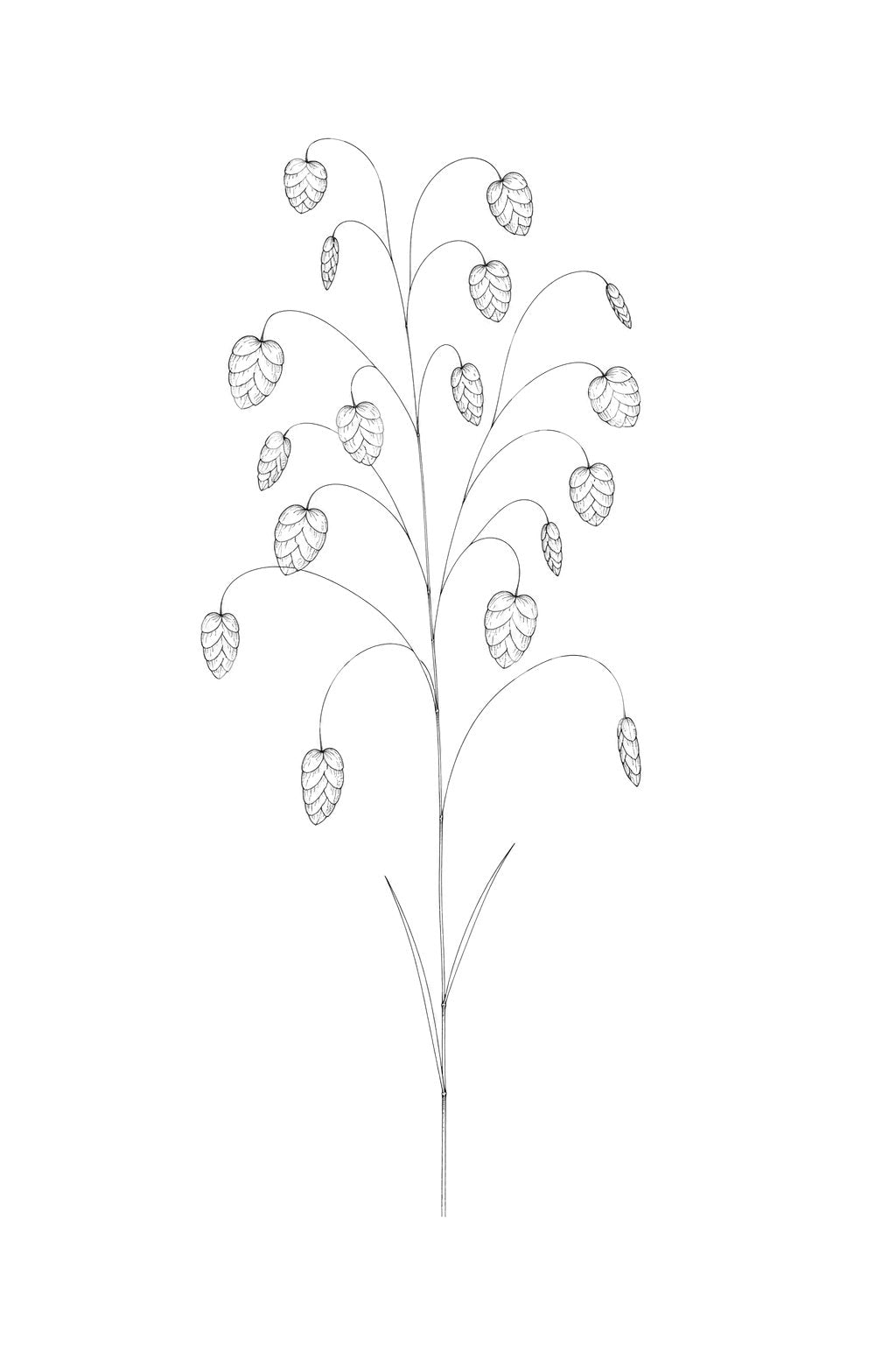 Diseño de tatuaje de panícula de hierba temblona