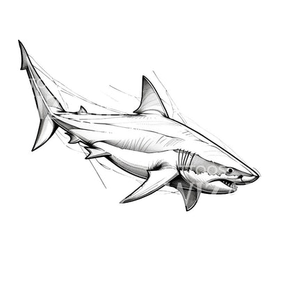 Sketch Shark Tattoo Design