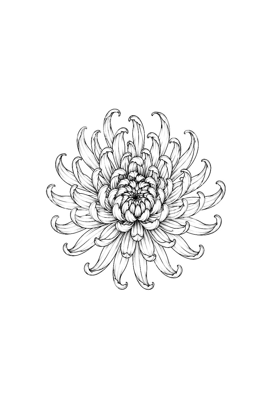 放射状菊花花瓣环纹身创意