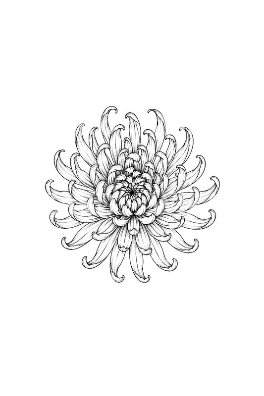 放射状菊花花瓣环纹身创意