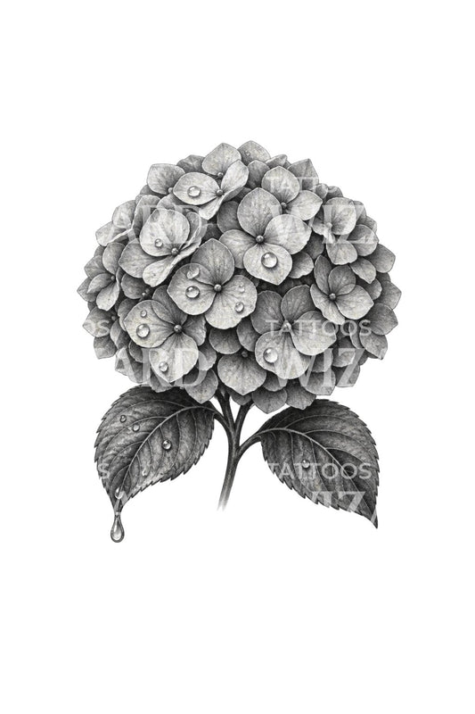 Sadepisarainen hortensia, mustan ja harmaan tatuoinnin suunnittelu