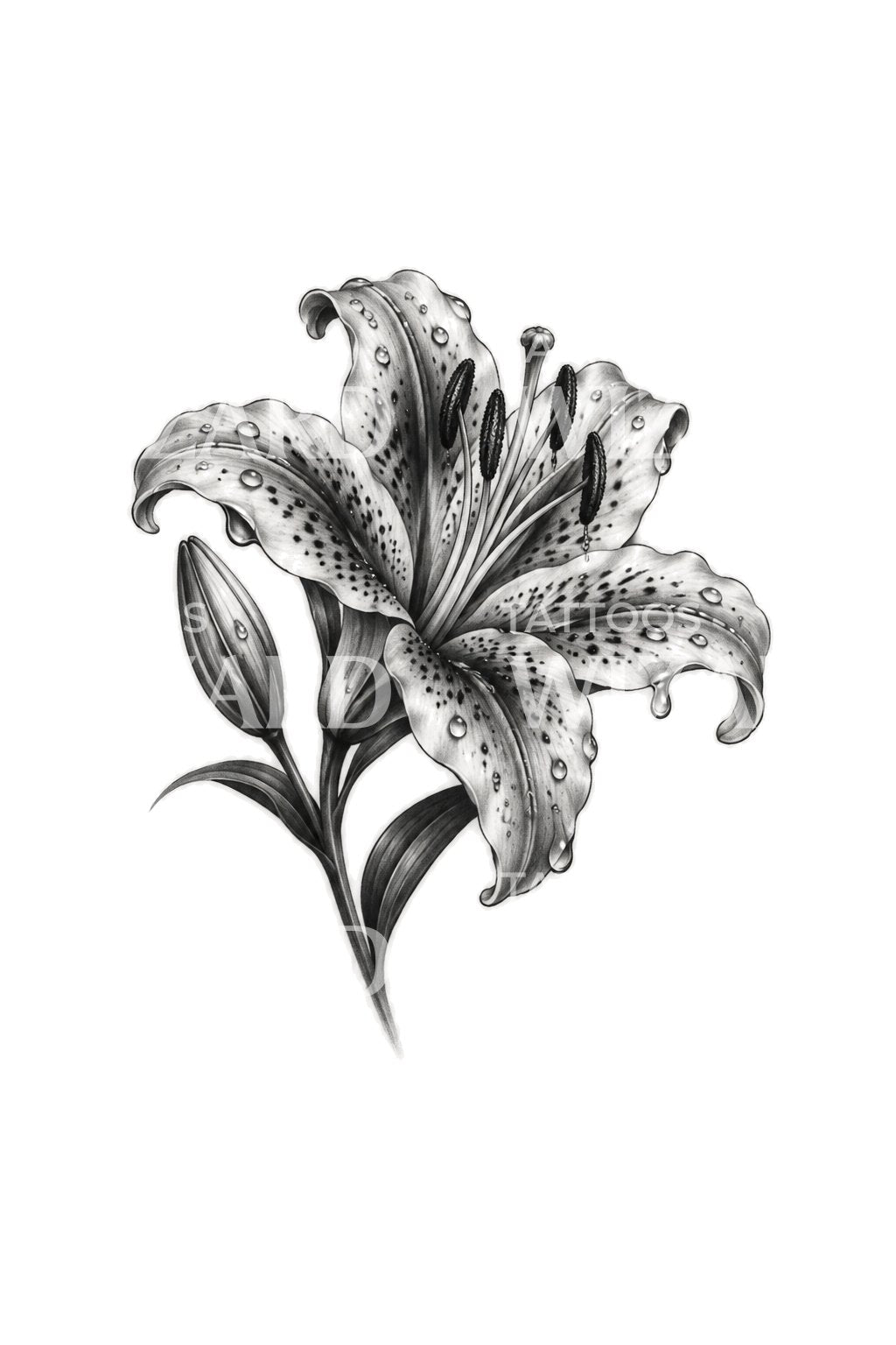 Rain Washed Stargazer Lily Black and Grey Tattoo Design