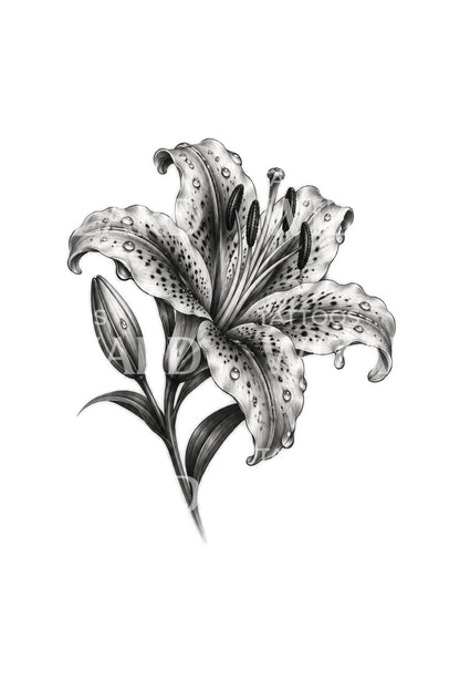 Rain Washed Stargazer Lily Black and Grey Tattoo Design