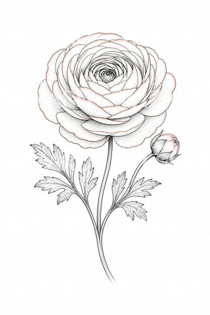Diseño de tatuaje fine line de flor de ranúnculo