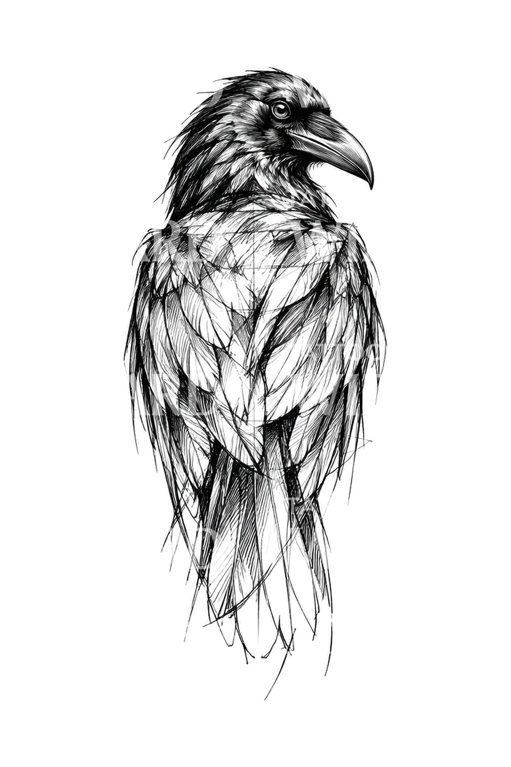 Illustration de corbeau jetant un regard en arrière