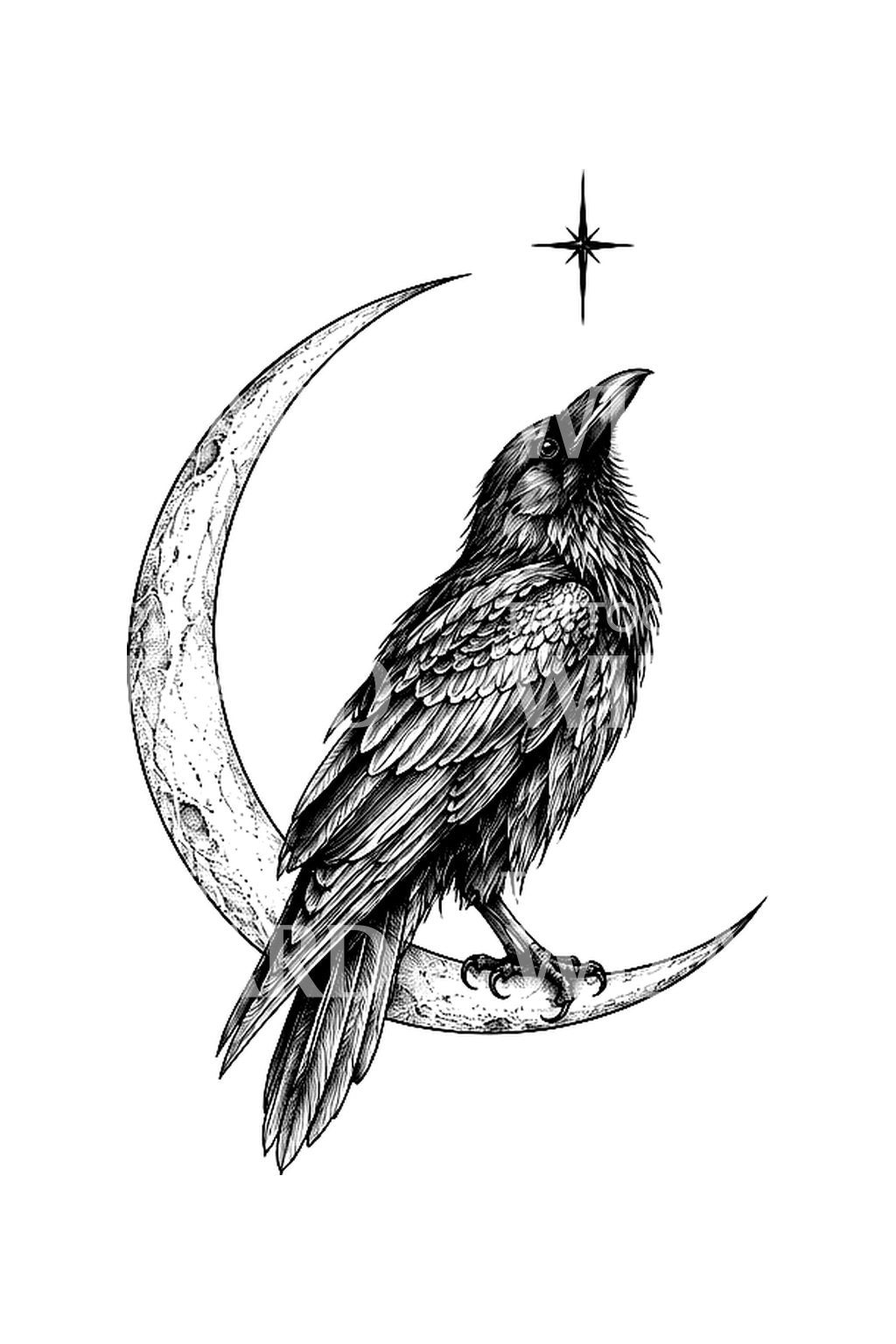 Tattooidé med ravn som ser stjernen fra månen